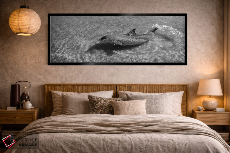 تابلو دکوراتیو Monkey Mia, Shark Bay Marine Park, Perth, Western Austr… اثر پانورامیک ایمجز - D5B