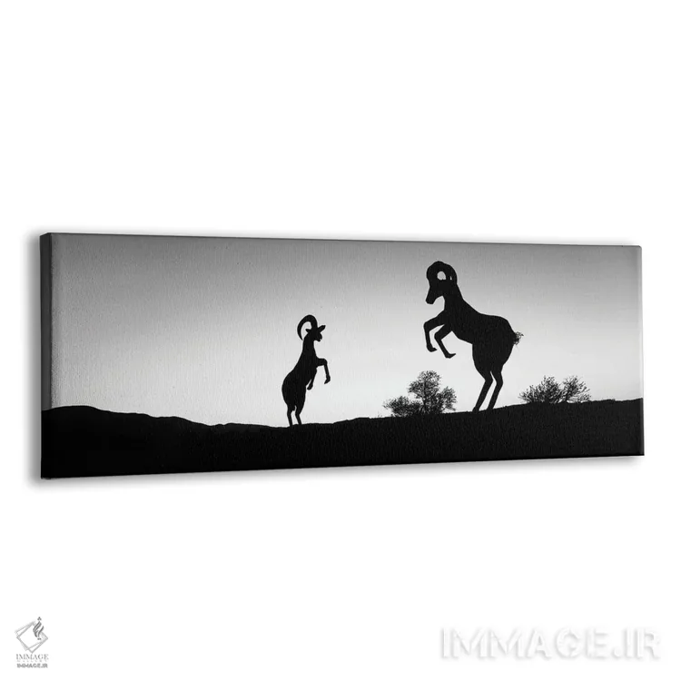 تابلو دکوراتیو Galleta Meadows Estate, Borrego Springs, California, US… اثر پانورامیک ایمجز - نمای پرسپکتیو محصول