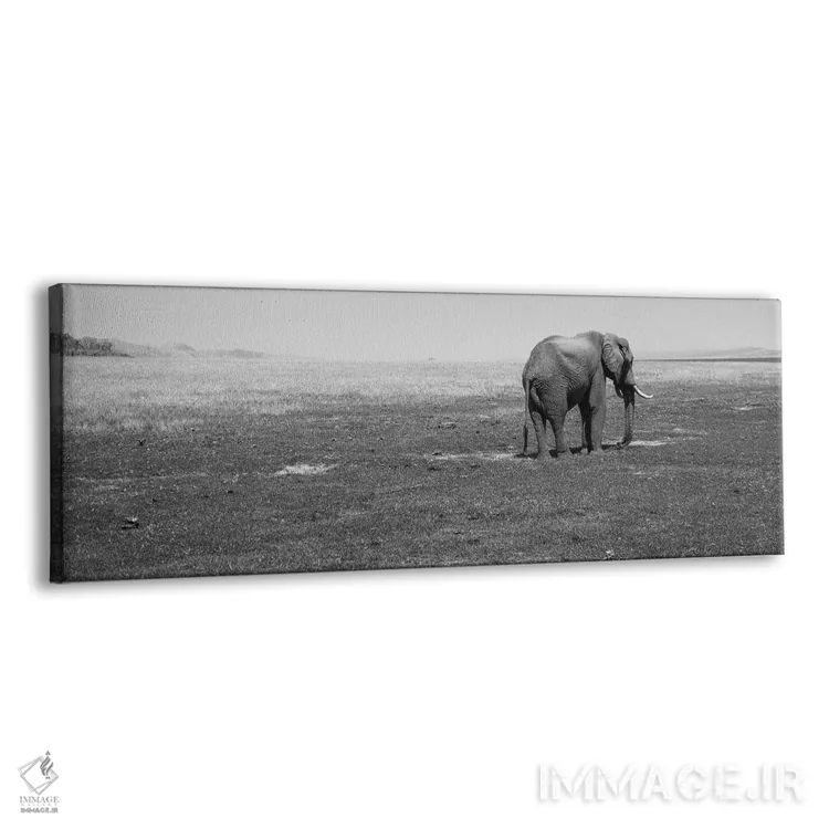 تابلو دکوراتیو Lake Kariba, Zimbabwe" - "فیل ایستاده در یک مزرعه، دریا… اثر پانورامیک ایمجز - نمای پرسپکتیو محصول