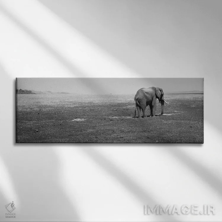 تابلو دکوراتیو Lake Kariba, Zimbabwe" - "فیل ایستاده در یک مزرعه، دریا… اثر پانورامیک ایمجز - نمای روبهرو روی دیوار