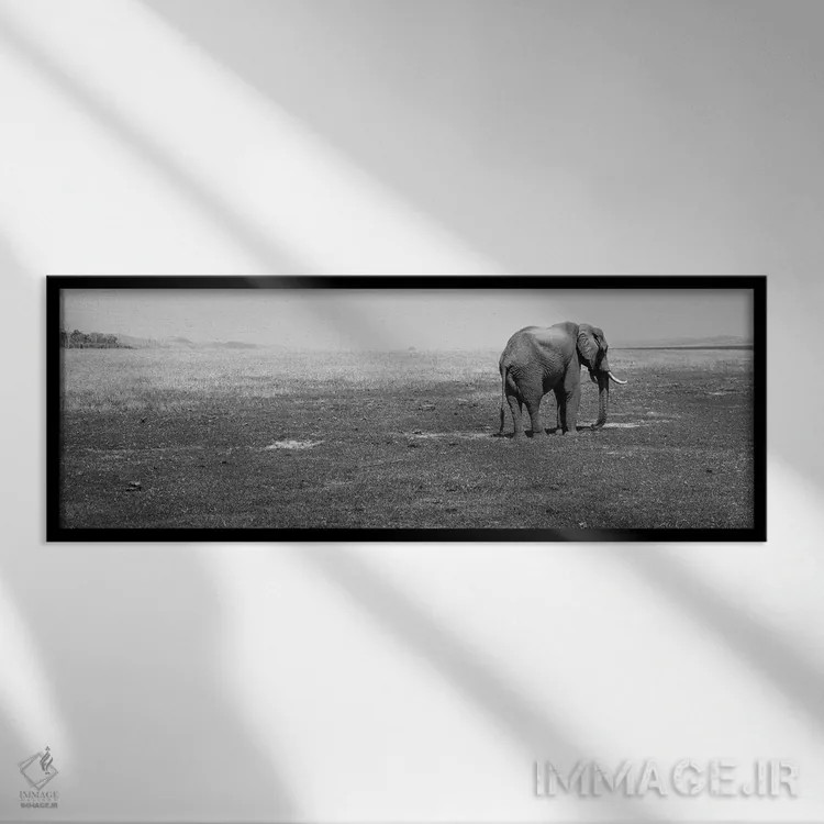 تابلو دکوراتیو Lake Kariba, Zimbabwe" - "فیل ایستاده در یک مزرعه، دریا… اثر پانورامیک ایمجز - نمای قابدار مشکی