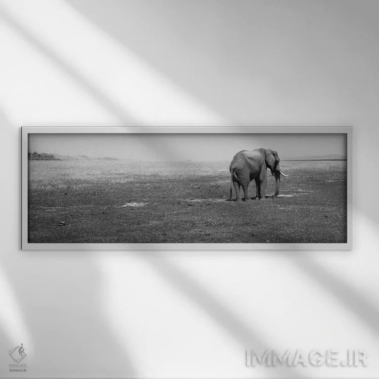 تابلو دکوراتیو Lake Kariba, Zimbabwe" - "فیل ایستاده در یک مزرعه، دریا… اثر پانورامیک ایمجز - نمای قابدار سفید