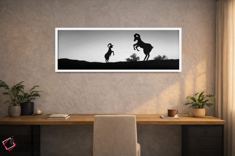 تابلو دکوراتیو Galleta Meadows Estate, Borrego Springs, California, US… اثر پانورامیک ایمجز - D1W