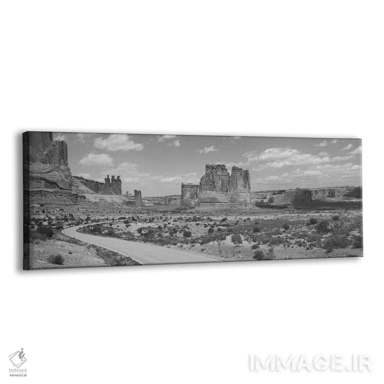 تابلو دکوراتیو Arches National Park, Utah, USA" - "جاده خالی که از یک… اثر پانورامیک ایمجز - نمای پرسپکتیو محصول