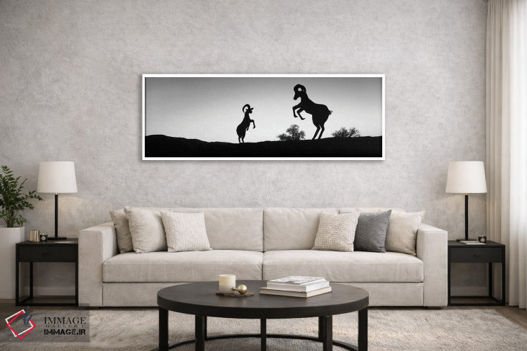 تابلو دکوراتیو Galleta Meadows Estate, Borrego Springs, California, US… اثر پانورامیک ایمجز - D6W