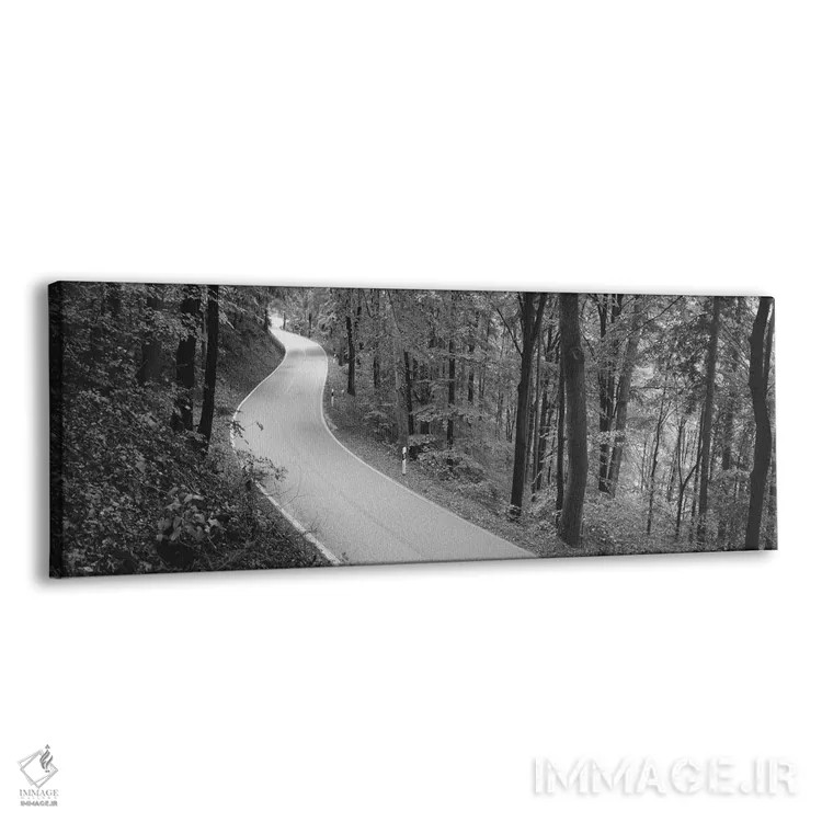 تابلو دکوراتیو Stuttgart, Baden-Wurttemberg, Germany" - "جاده خالی که… اثر پانورامیک ایمجز - نمای پرسپکتیو محصول