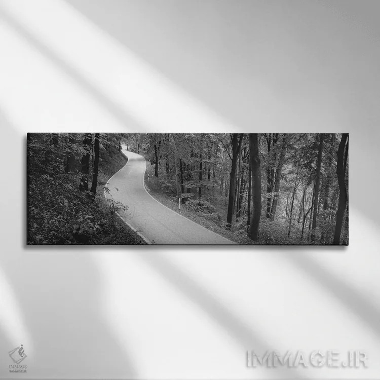 تابلو دکوراتیو Stuttgart, Baden-Wurttemberg, Germany" - "جاده خالی که… اثر پانورامیک ایمجز - نمای روبهرو روی دیوار