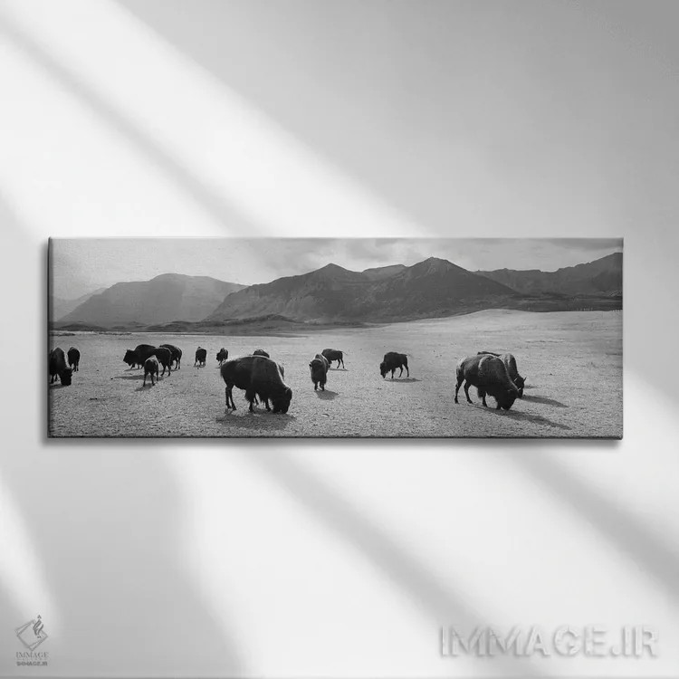 تابلو دکوراتیو Waterton Lakes National Park, Alberta, Canada" - "گله ا… اثر پانورامیک ایمجز - نمای روبهرو روی دیوار
