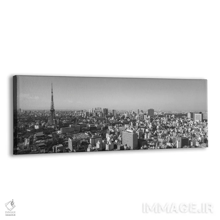 تابلو دکوراتیو Tokyo, Japan" - "نمای از زاویه بالا از یک شهر، توکیو، ژ… اثر پانورامیک ایمجز - نمای پرسپکتیو محصول