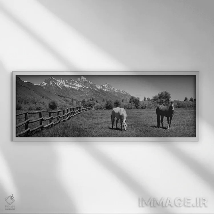 تابلو دکوراتیو اسب ها و رشته کوه تتون، پارک ملی گرند تتون، وایومینگ، آ… اثر پانورامیک ایمجز - نمای قابدار سفید