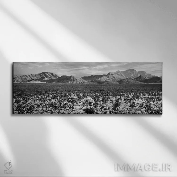 تابلو دکوراتیو Mojave National Preserve, California, USA" - "درخت یوشا… اثر پانورامیک ایمجز - نمای روبهرو روی دیوار