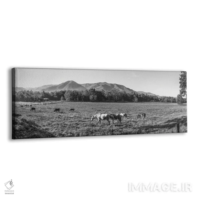 تابلو دکوراتیو Cades Cove, Great Smoky Mountains National Park, Tennes… اثر پانورامیک ایمجز - نمای پرسپکتیو محصول