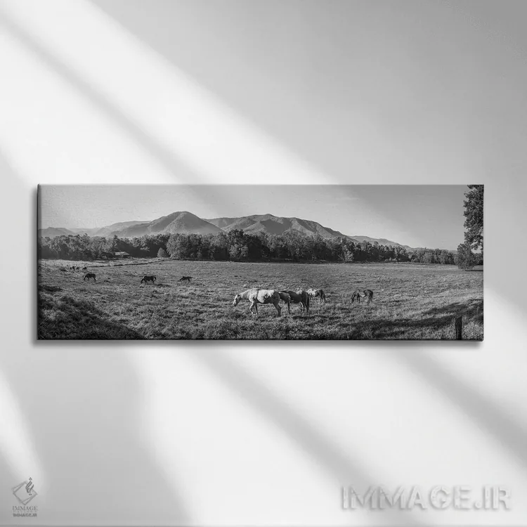 تابلو دکوراتیو Cades Cove, Great Smoky Mountains National Park, Tennes… اثر پانورامیک ایمجز - نمای روبهرو روی دیوار