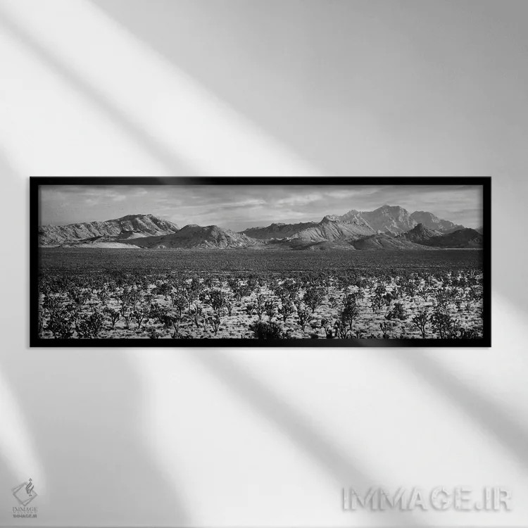 تابلو دکوراتیو Mojave National Preserve, California, USA" - "درخت یوشا… اثر پانورامیک ایمجز - نمای قابدار مشکی