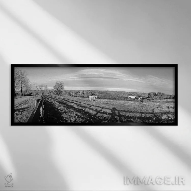 تابلو دکوراتیو Lexington, Kentucky, USA" - "اسب ها در حال چرا در یک زم… اثر پانورامیک ایمجز - نمای قابدار مشکی