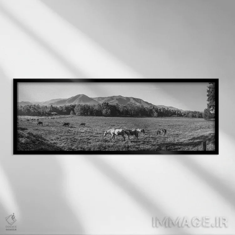 تابلو دکوراتیو Cades Cove, Great Smoky Mountains National Park, Tennes… اثر پانورامیک ایمجز - نمای قابدار مشکی