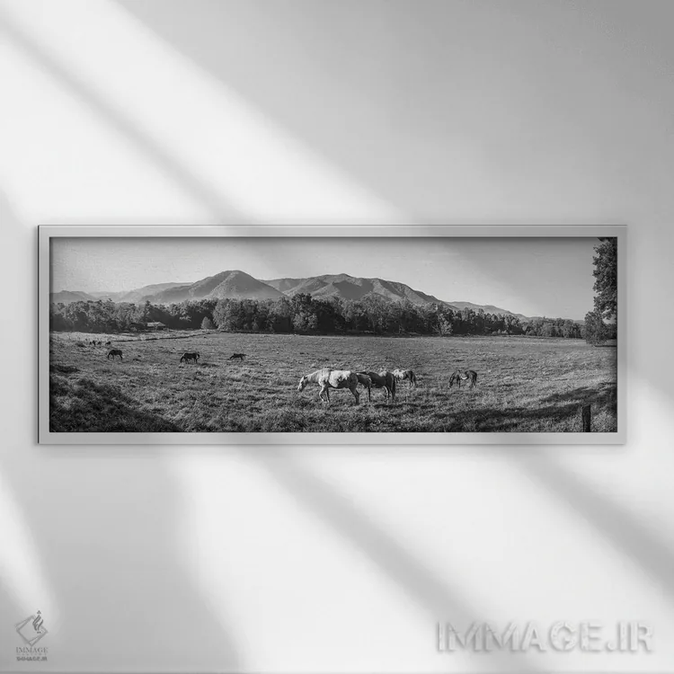 تابلو دکوراتیو Cades Cove, Great Smoky Mountains National Park, Tennes… اثر پانورامیک ایمجز - نمای قابدار سفید