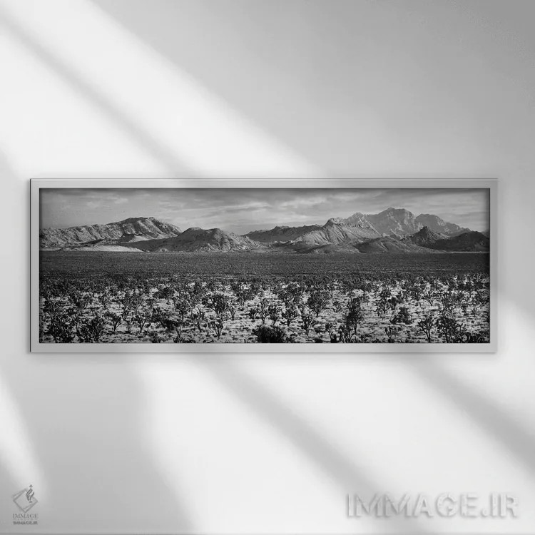 تابلو دکوراتیو Mojave National Preserve, California, USA" - "درخت یوشا… اثر پانورامیک ایمجز - نمای قابدار سفید