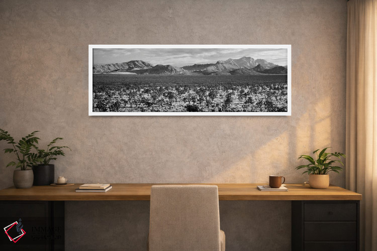 تابلو دکوراتیو Mojave National Preserve, California, USA" - "درخت یوشا… اثر پانورامیک ایمجز - D1W