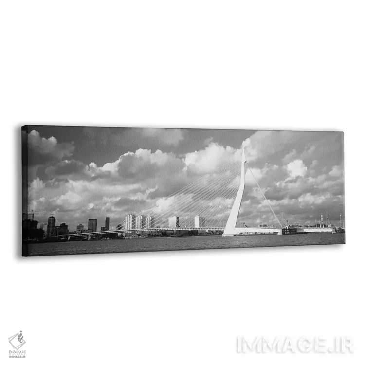 تابلو دکوراتیو Holland, Rotterdam, Erasmus Bridge" - "هلند، هلند، روتر… اثر پانورامیک ایمجز - نمای پرسپکتیو محصول
