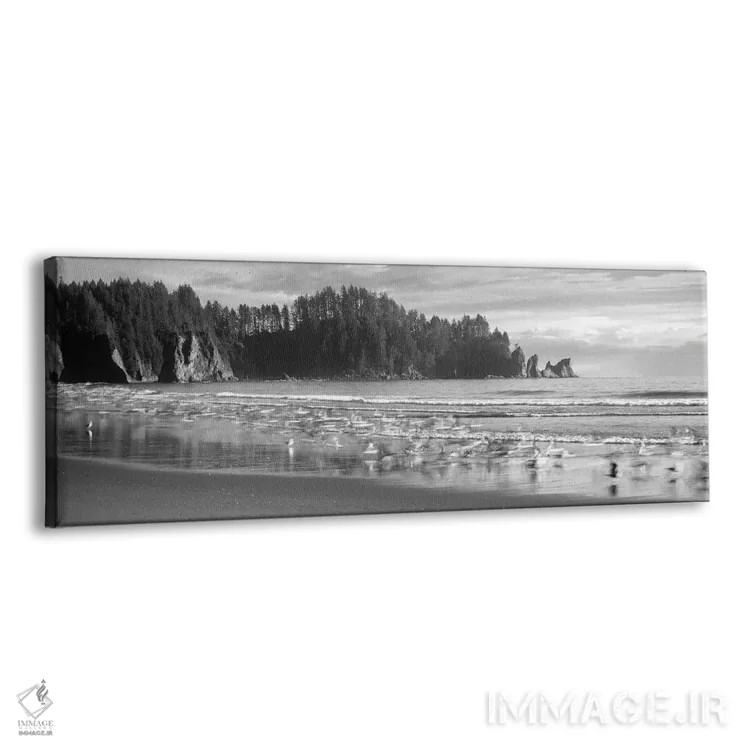 تابلو دکوراتیو Second Beach, Olympic National Park, Washington, USA"… اثر پانورامیک ایمجز - نمای پرسپکتیو محصول