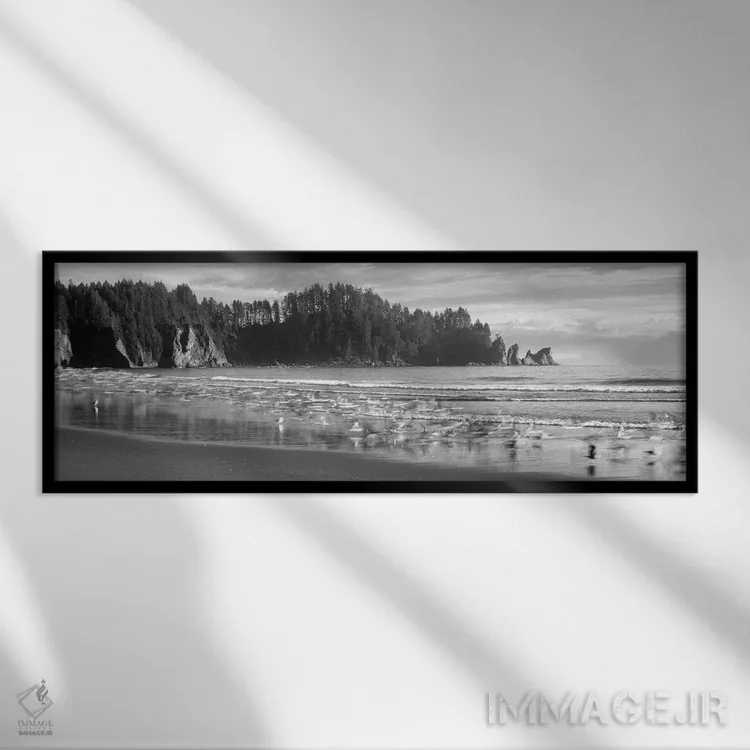 تابلو دکوراتیو Second Beach, Olympic National Park, Washington, USA"… اثر پانورامیک ایمجز - نمای قابدار مشکی