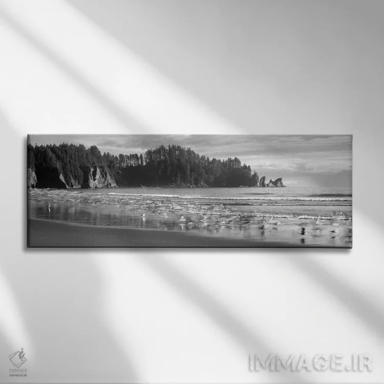 تابلو دکوراتیو Second Beach, Olympic National Park, Washington, USA"… اثر پانورامیک ایمجز - نمای روبهرو روی دیوار