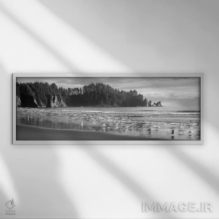 تابلو دکوراتیو Second Beach, Olympic National Park, Washington, USA"… اثر پانورامیک ایمجز - نمای قابدار سفید