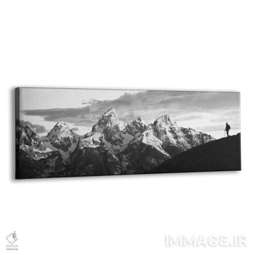 تابلو دکوراتیو Grand Teton National Park, Wyoming, USA" - "سیلوئت یک ک… اثر پانورامیک ایمجز - نمای پرسپکتیو محصول