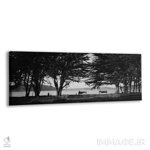 تابلو دکوراتیو درختان در یک مزرعه، کریسی فیلد، سان فرانسیسکو، کالیفرنی… اثر پانورامیک ایمجز - نمای پرسپکتیو محصول