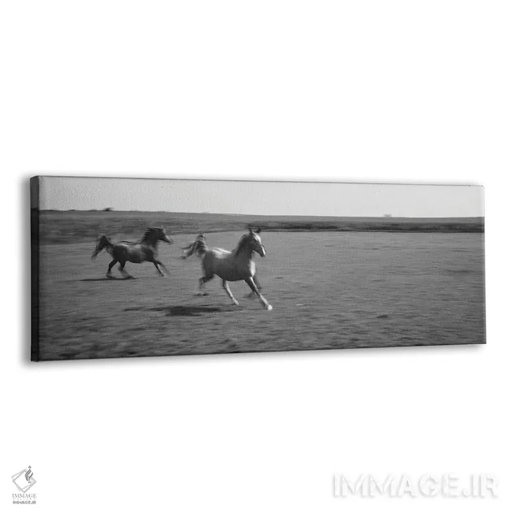 تابلو دکوراتیو دو اسب عربی در حال دویدن در دشت، استل، شهرستان فورد، ای… اثر پانورامیک ایمجز - نمای پرسپکتیو محصول
