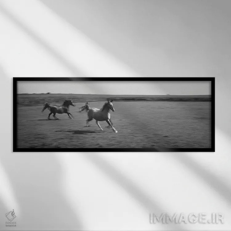 تابلو دکوراتیو دو اسب عربی در حال دویدن در دشت، استل، شهرستان فورد، ای… اثر پانورامیک ایمجز - نمای قابدار مشکی