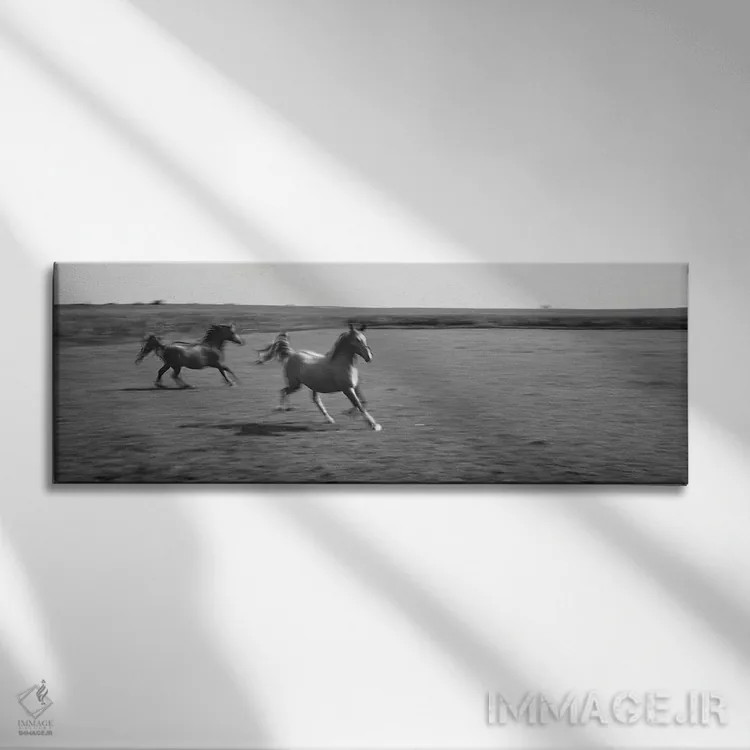 تابلو دکوراتیو دو اسب عربی در حال دویدن در دشت، استل، شهرستان فورد، ای… اثر پانورامیک ایمجز - نمای روبهرو روی دیوار