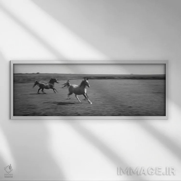 تابلو دکوراتیو دو اسب عربی در حال دویدن در دشت، استل، شهرستان فورد، ای… اثر پانورامیک ایمجز - نمای قابدار سفید