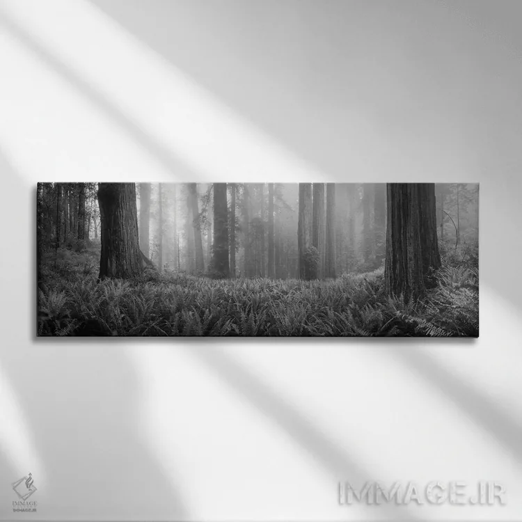 تابلو دکوراتیو درختان افرا درخت انگوری در یک جنگل، کوه هود، اورگان، ای… اثر پانورامیک ایمجز - نمای روبهرو روی دیوار