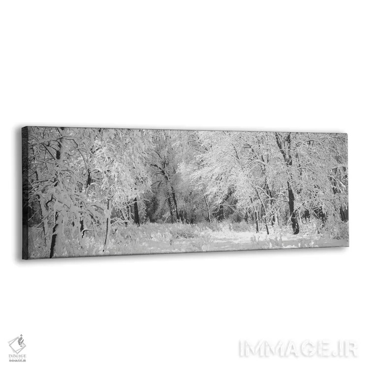 تابلو دکوراتیو زمستان، جنگل، پارک ملی یوسمیتی، کالیفرنیا، ایالات متحده… اثر پانورامیک ایمجز - نمای پرسپکتیو محصول