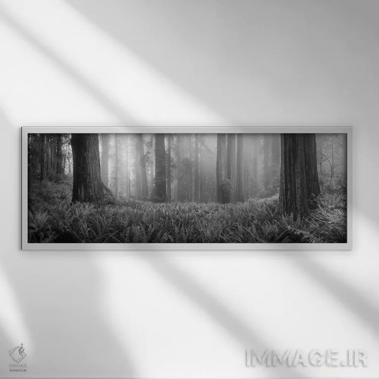 تابلو دکوراتیو درختان افرا درخت انگوری در یک جنگل، کوه هود، اورگان، ای… اثر پانورامیک ایمجز - نمای قابدار سفید