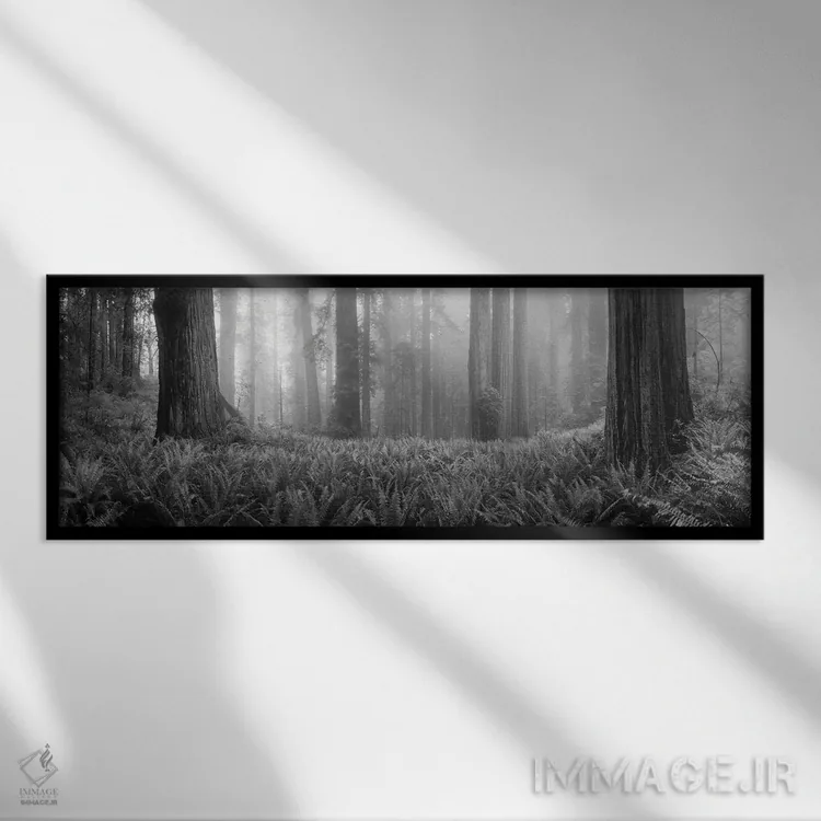 تابلو دکوراتیو درختان افرا درخت انگوری در یک جنگل، کوه هود، اورگان، ای… اثر پانورامیک ایمجز - نمای قابدار مشکی