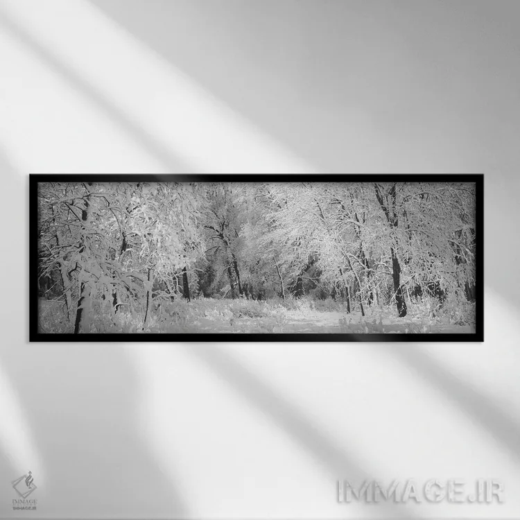 تابلو دکوراتیو زمستان، جنگل، پارک ملی یوسمیتی، کالیفرنیا، ایالات متحده… اثر پانورامیک ایمجز - نمای قابدار مشکی
