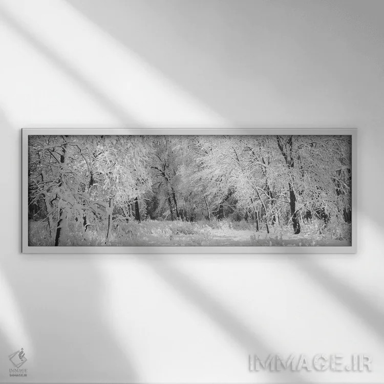 تابلو دکوراتیو زمستان، جنگل، پارک ملی یوسمیتی، کالیفرنیا، ایالات متحده… اثر پانورامیک ایمجز - نمای قابدار سفید