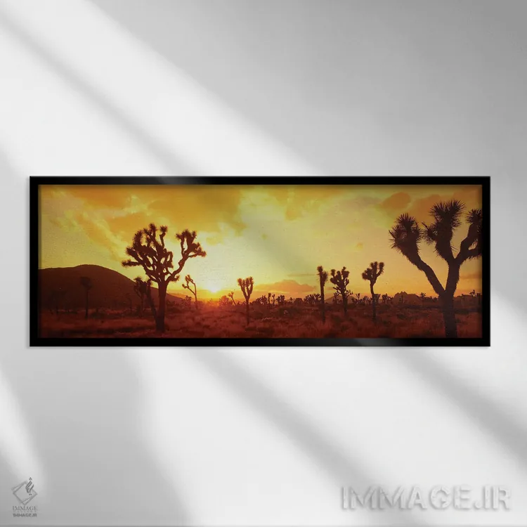 تابلو دکوراتیو صحرا موهاوی، پارک ملی درخت یوشا، کالیفرنیا، ایالات متحد… اثر پانورامیک ایمجز - نمای قابدار مشکی