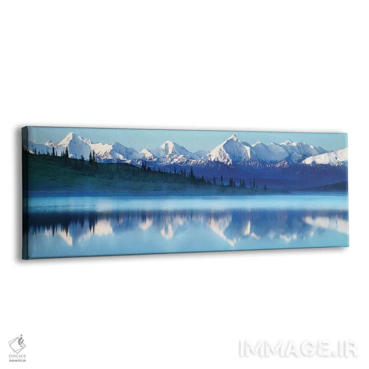 تابلو دکوراتیو Denali National Park, Alaska, USA,کوه های پوشیده از برف… اثر پانورامیک ایمجز - نمای پرسپکتیو محصول