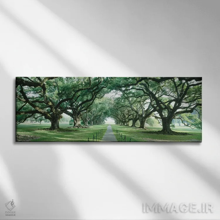 تابلو دکوراتیو New Orleans, Louisiana, USA,مسیر آجری میان گذرگاه درختا… اثر پانورامیک ایمجز - نمای روبهرو روی دیوار