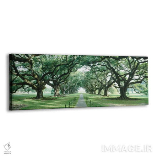 تابلو دکوراتیو New Orleans, Louisiana, USA,مسیر آجری میان گذرگاه درختا… اثر پانورامیک ایمجز - نمای پرسپکتیو محصول