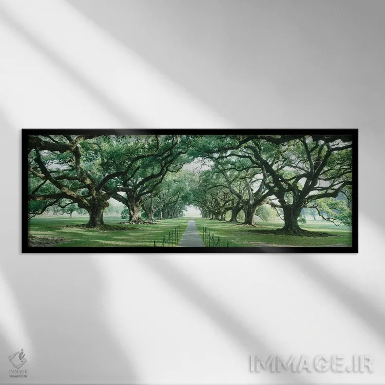 تابلو دکوراتیو New Orleans, Louisiana, USA,مسیر آجری میان گذرگاه درختا… اثر پانورامیک ایمجز - نمای قابدار مشکی