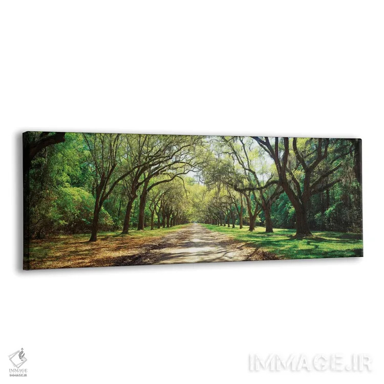 تابلو دکوراتیو بلوط های زنده و خزه اسپانیایی، سایت تاریخی ایالتی ورمسل… اثر پانورامیک ایمجز - نمای پرسپکتیو محصول
