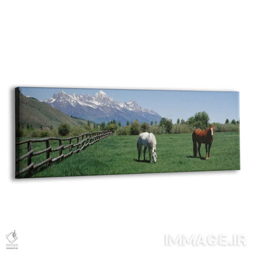 تابلو دکوراتیو اسب ها و رشته کوه تیوتن، پارک ملی گرند تیوتن، وایومینگ… اثر پانورامیک ایمجز - نمای پرسپکتیو محصول
