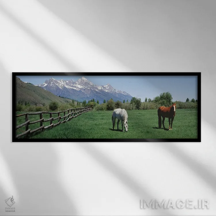 تابلو دکوراتیو اسب ها و رشته کوه تیوتن، پارک ملی گرند تیوتن، وایومینگ… اثر پانورامیک ایمجز - نمای قابدار مشکی