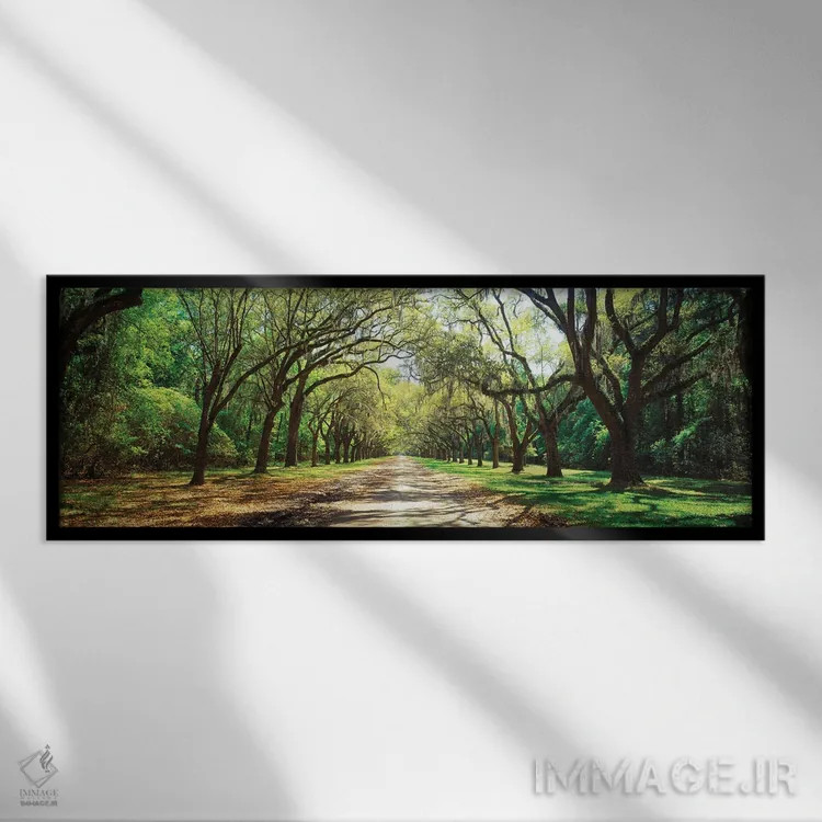 تابلو دکوراتیو بلوط های زنده و خزه اسپانیایی، سایت تاریخی ایالتی ورمسل… اثر پانورامیک ایمجز - نمای قابدار مشکی