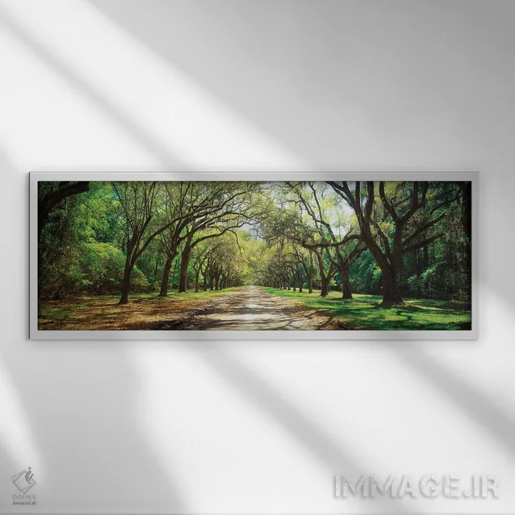 تابلو دکوراتیو بلوط های زنده و خزه اسپانیایی، سایت تاریخی ایالتی ورمسل… اثر پانورامیک ایمجز - نمای قابدار سفید